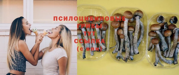 хмурый Белоозёрский